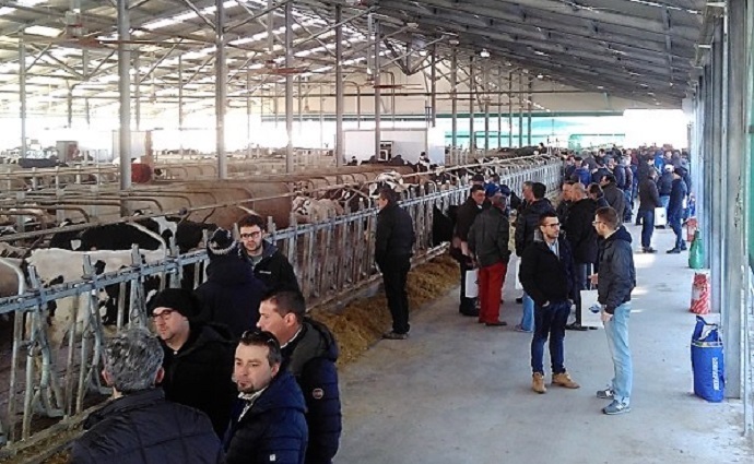 Nuova Stalla Per L’Azienda Agricola Vanzetti Holstein Di Candiolo