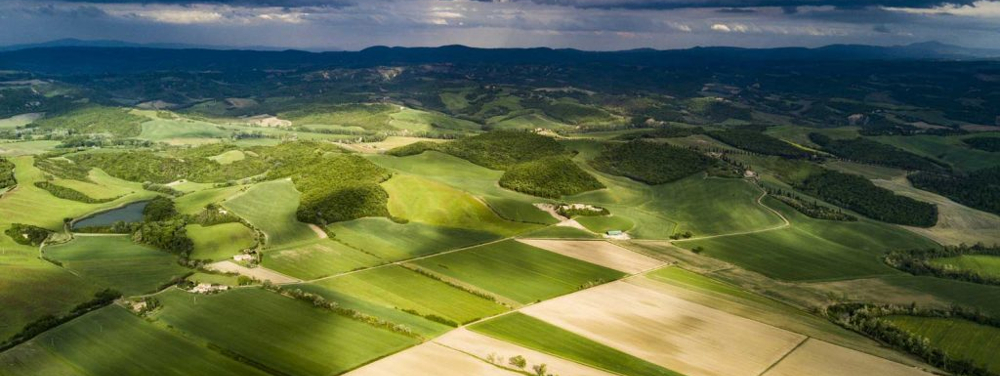 immagine-campi-1000x376