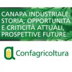 Canapa Industriale: Storia, Opportunità E Criticità Attuali, Prospettive Future