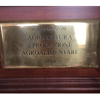 AUDIZIONE IN COMMISSIONE AGRICOLTURA DEL SENATO