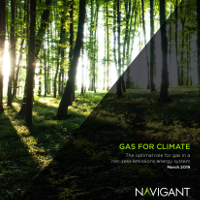 Biomethane To 2050: New Report By Navigant Energy Published