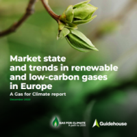 NUOVO REPORT GAS FOR CLIMATE