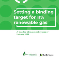 GAS FOR CLIMATE – NUOVO POLICY PAPER