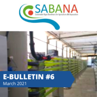 Sabana E-bulletin #6