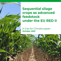 Paper Di Gas For Climate: Includere Le Doppie Colture Insilabili Nell’Annex IX Della Direttiva RED II