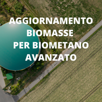 Biometano Avanzato: Aggiornato Elenco Biomasse