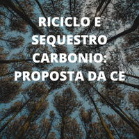 La Proposta Della Commissione Europea Per La Rimozione E Il Riciclo Del Carbonio