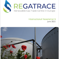 Newsletter Regatrace #6