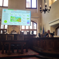Giornata Mondiale Del Suolo, CIB E Chimica Verde: Il Carbon Farming Come Strategia Chiave Per La Sostenibilità E Il Futuro Dell’agricoltura